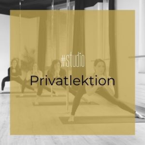 privatlektion pole dance yoga pilates barre online