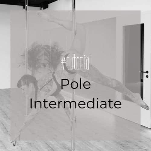 Pole Dance Beginner Intermediate Tutorial