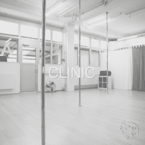 Pole Dance Clinic Zürich