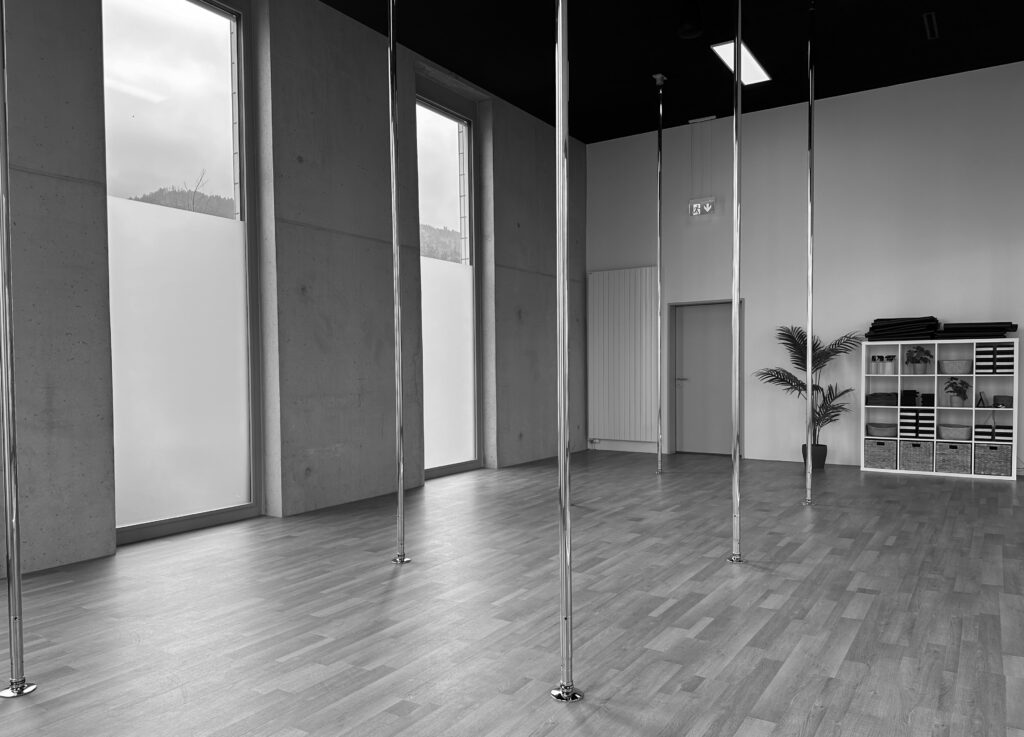 Pole Dance Luzern Kriens Studio Back